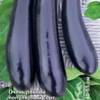 Баклажан Фиолетовый Длинный 0,3Г(Очень Ранний) Седек