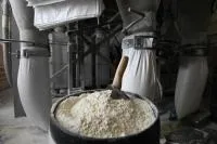 Мука ржаная. Обдирная и сеяная. Отруби ржаные.