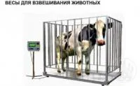 Весы для животных